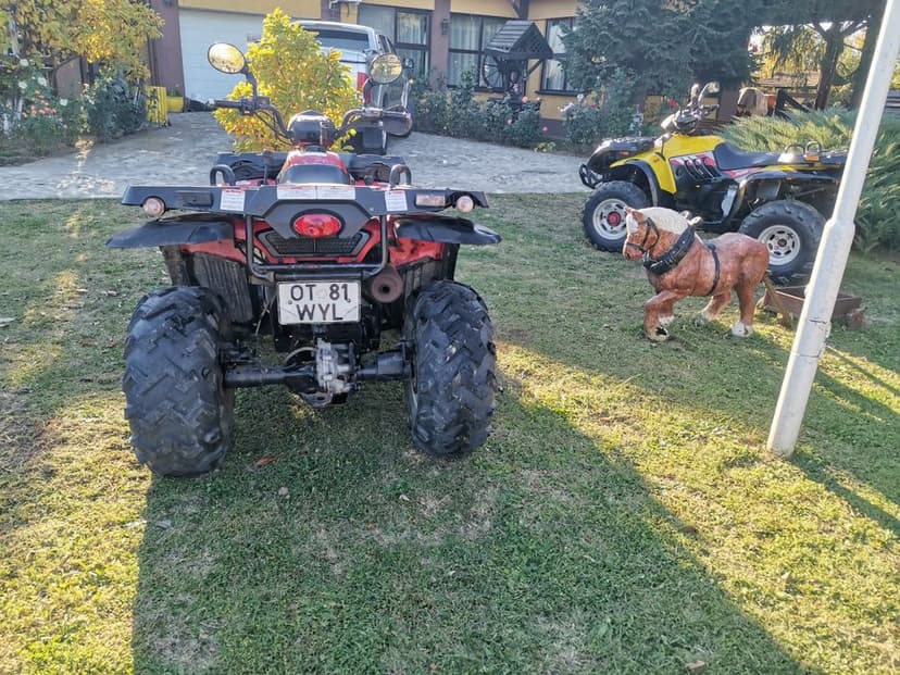 Vând doua atv  linhai 300