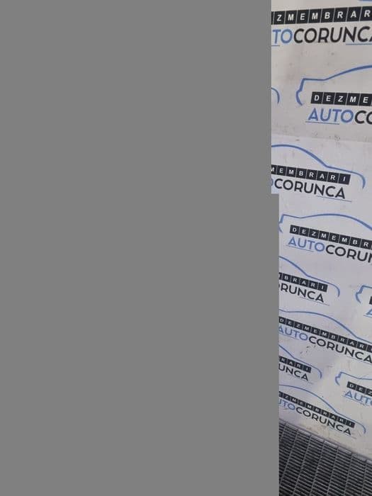 Usa Dreapta Spate Toyota Land Cruiser J12 2002 - 2010 SUV 4 Usi GRI IE9 (1030)