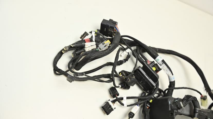 Instalatie Electrica Ducati Streetfighter V4 2018 - 2024