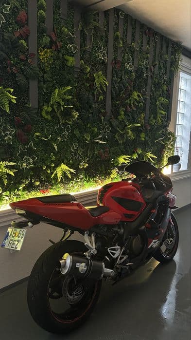 Vand Honda CBR600f4i