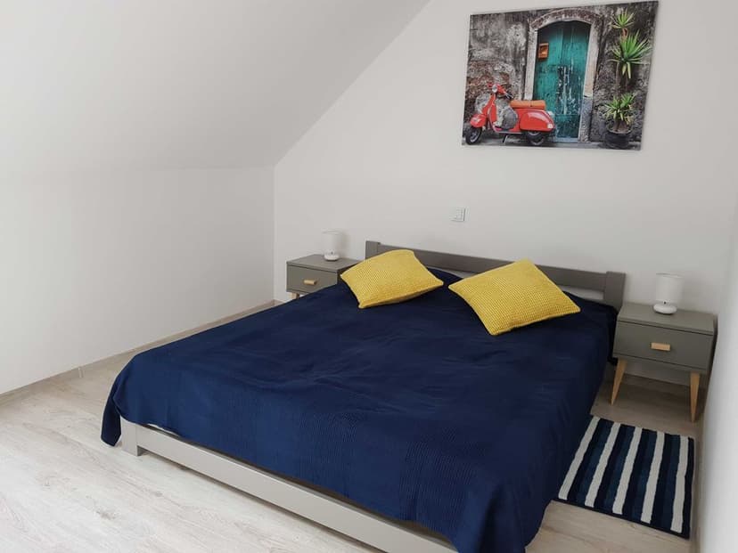 Mieszkania do wynajęcia /Apartments for rent