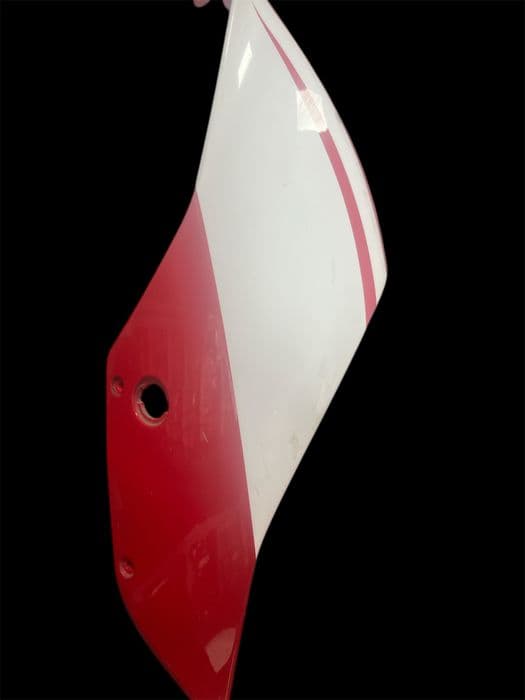 Ogon bok Ducati zPenigale 899