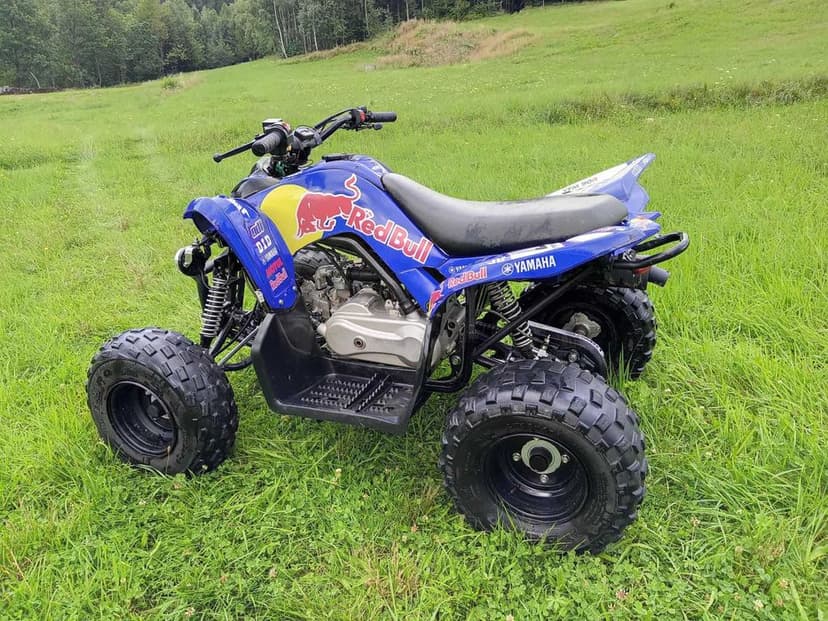 QUAD Yamaha YFM 90 R