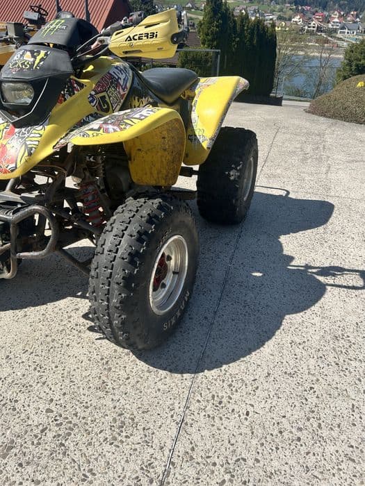 honda trx 250 ex 2008 + PŁUG