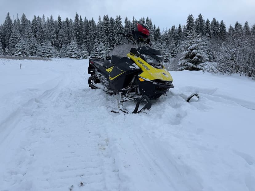 SKI DOO Summit 850 154