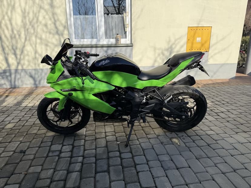 Kawasaki Ninja 250sl