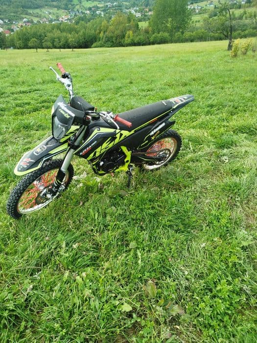 Asix 250cc lizard