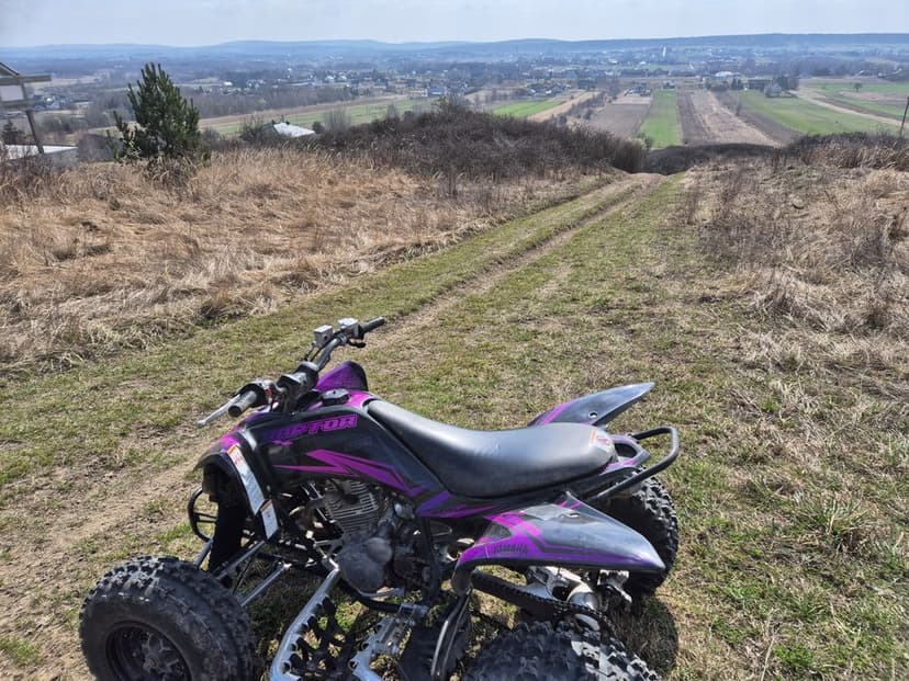 2008 Yamaha Raptor YFM 250
