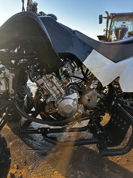 Quad Swap 600 hornet