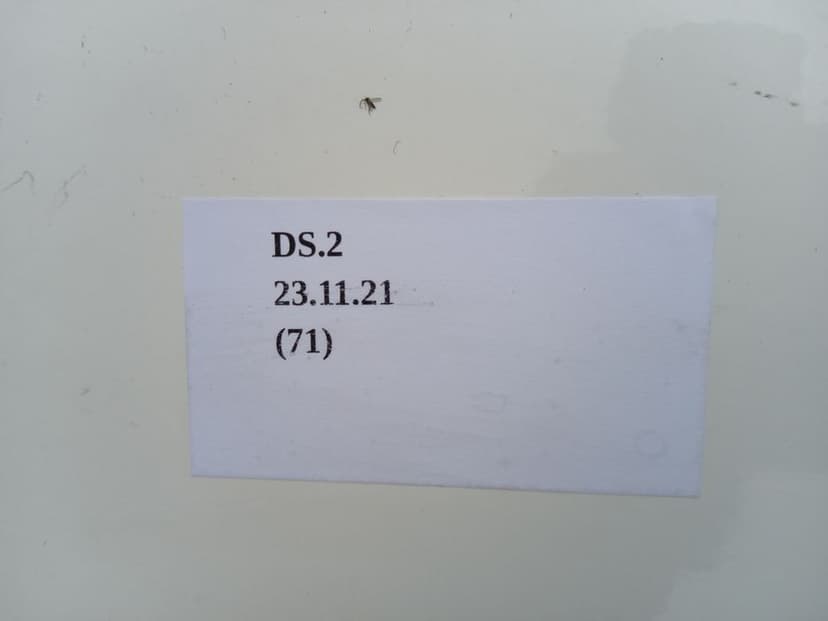 BŁOTNIK LEWY PRZÓD NISSAN NAVARA D40