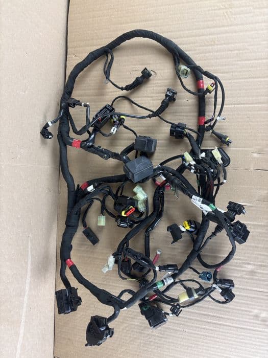 Ducati Monster 821 Wiązka Główna Instalacja Kable Kostki Kostka 2016