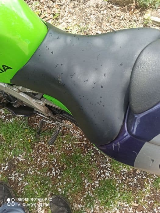 Kawasaki ninja ZX 600G