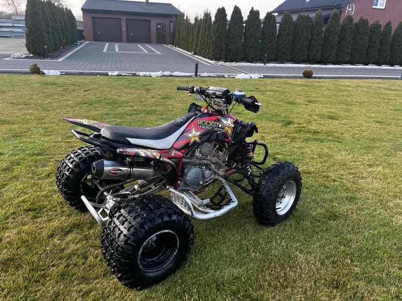 Yamaha Raptor yfm  250 Special edition