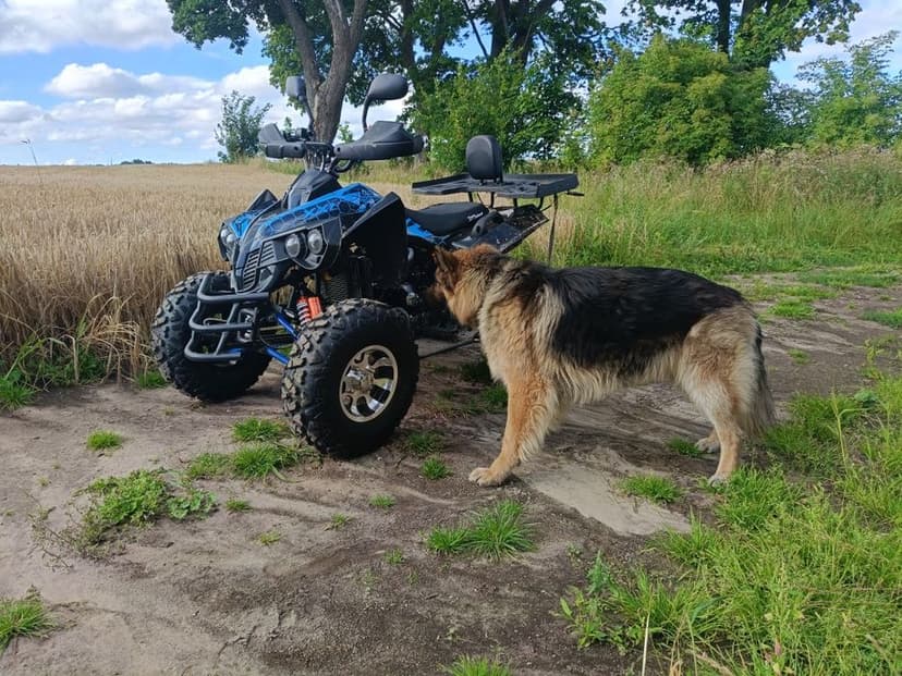 Quad Varia 300cc Pelikan