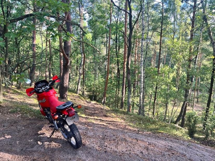 Honda Dominator nx650!!!