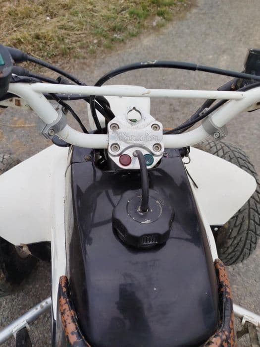 Yamaha warrior yfm350