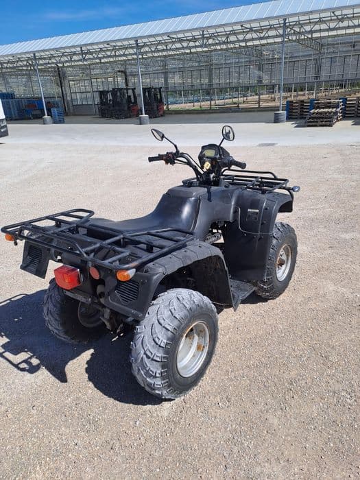 Atv bashan 250.2007. Z.Dokumentami. OKAZJA?