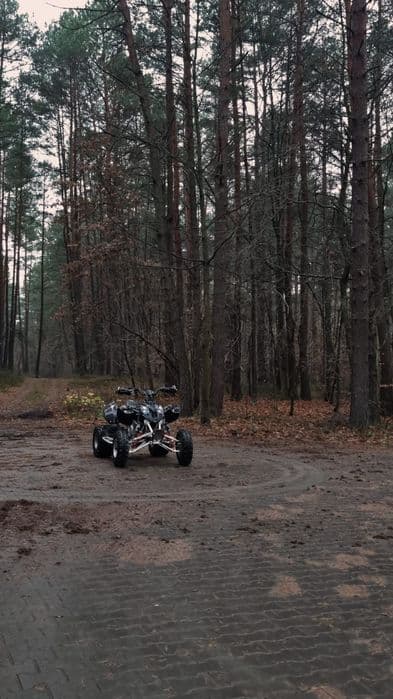 Polaris predator 500