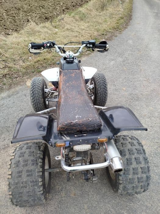 Yamaha warrior yfm350