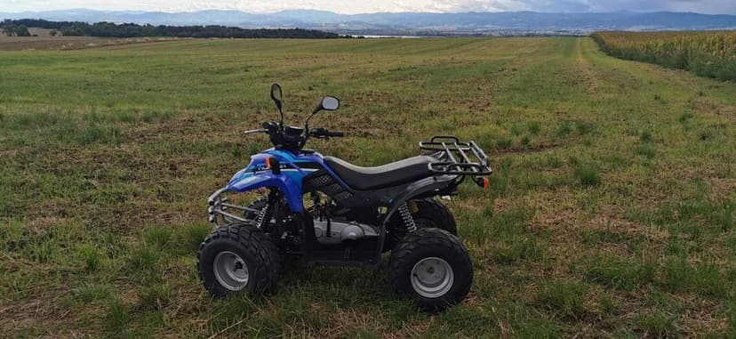 Quad TGB Hornet 2t  Nie Chińczyk