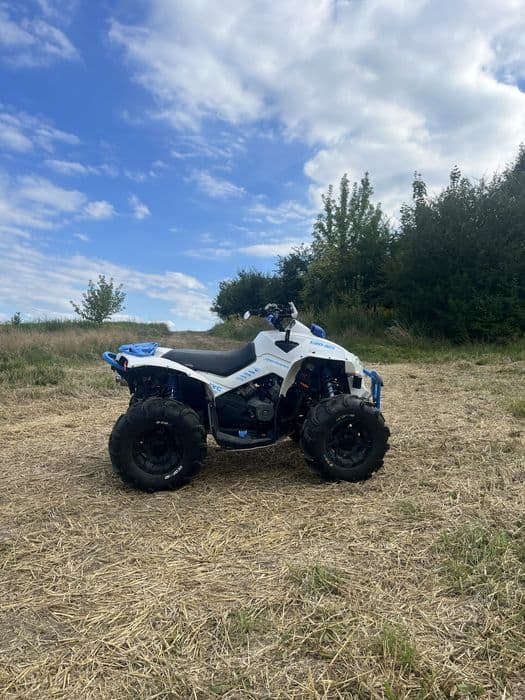 Can-am renegade 800/800R