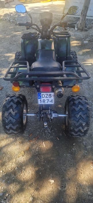 Quad 250 bashan egl