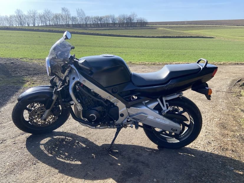 Honda CBR 600 96r naked