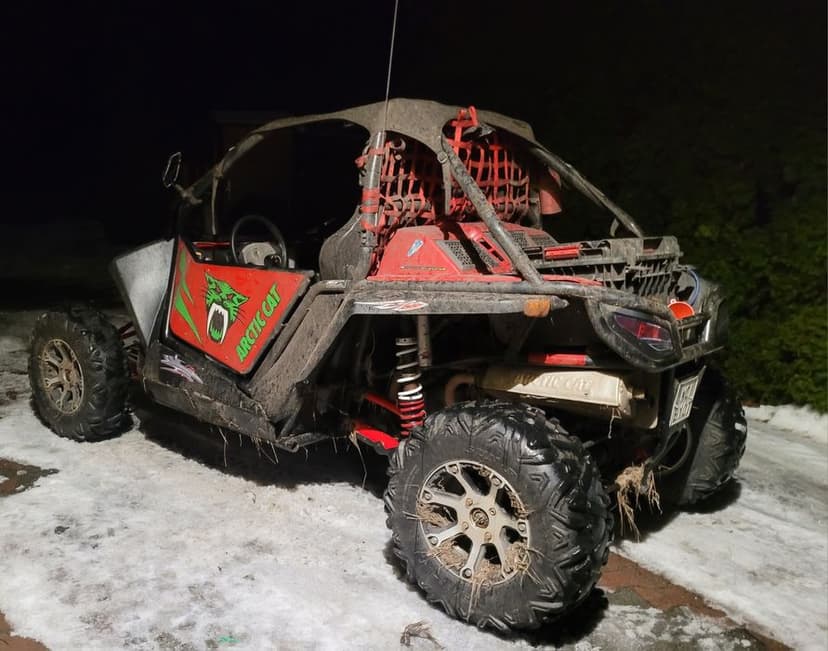 Arctic cat wildcat 1000