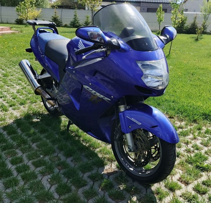 CBR 1100 Black bird Ori stan