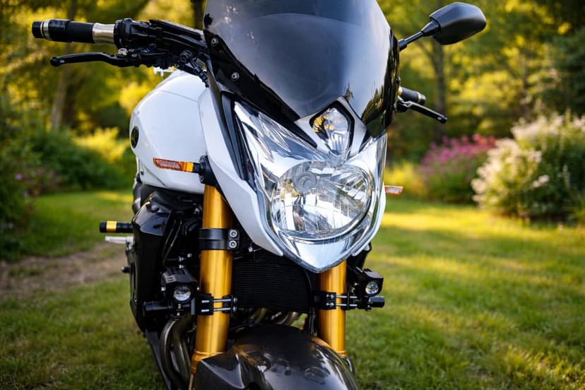 Yamaha FZ8, 799cm3, 2011