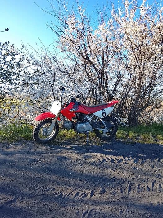 Honda crf 50 mini cross