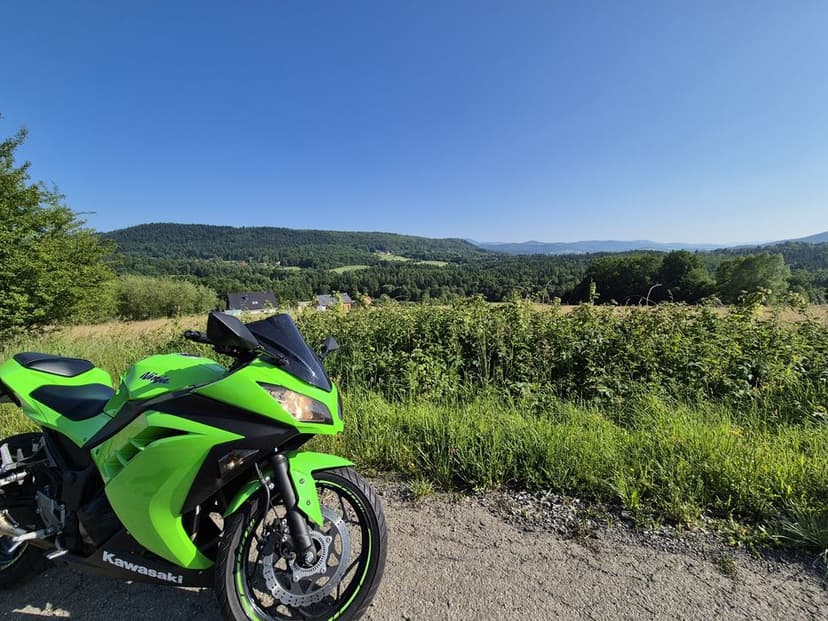 Kawasaki Ninja 300 ABS 2015 A2, Piękny, niski przebieg