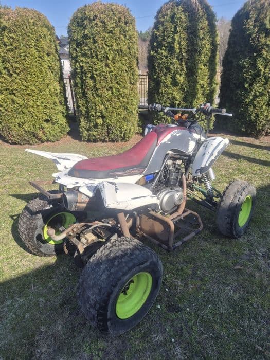 Pseudo Yamaha Raptor swap GS500 (Bashan)