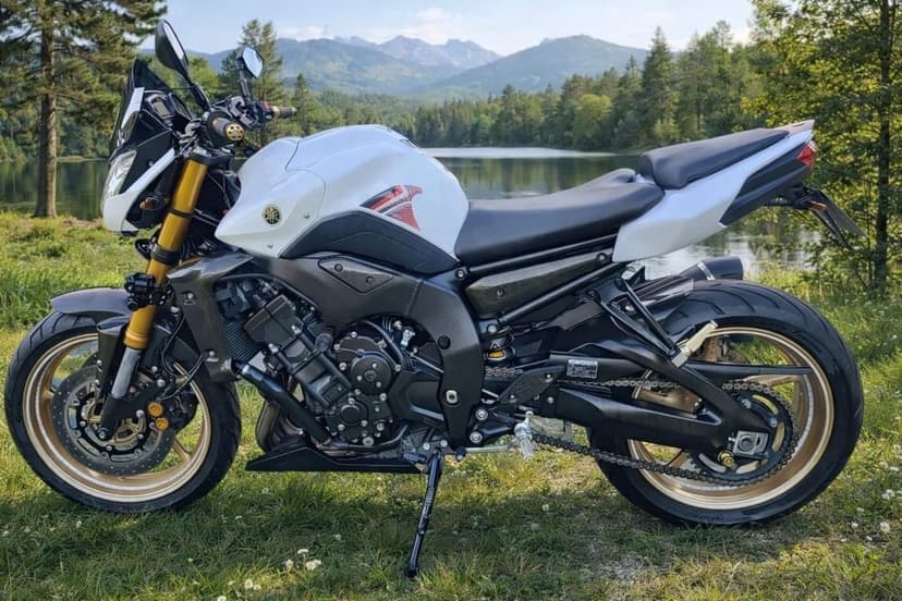 Yamaha FZ8, 799cm3, 2011