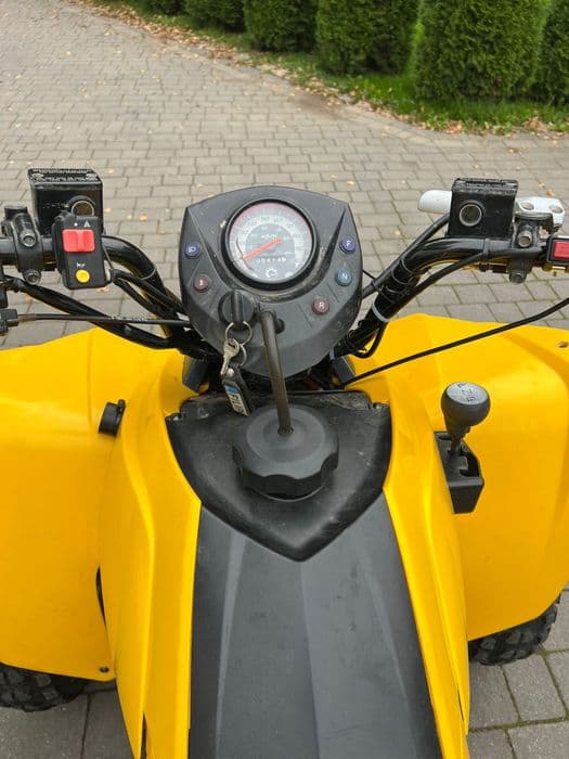 Can am ds 250 (2007 rok)