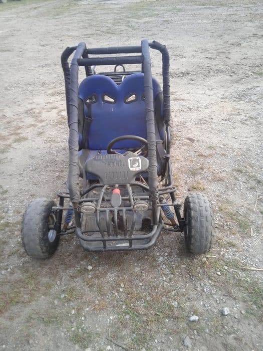 Bugi zumico bugii quad