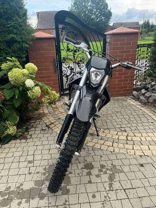 Cross Asix Lizzard 250