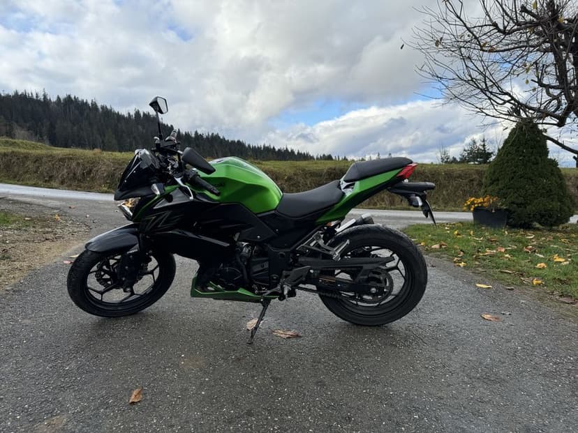 Kawasaki Z 300 — Stan Idealny