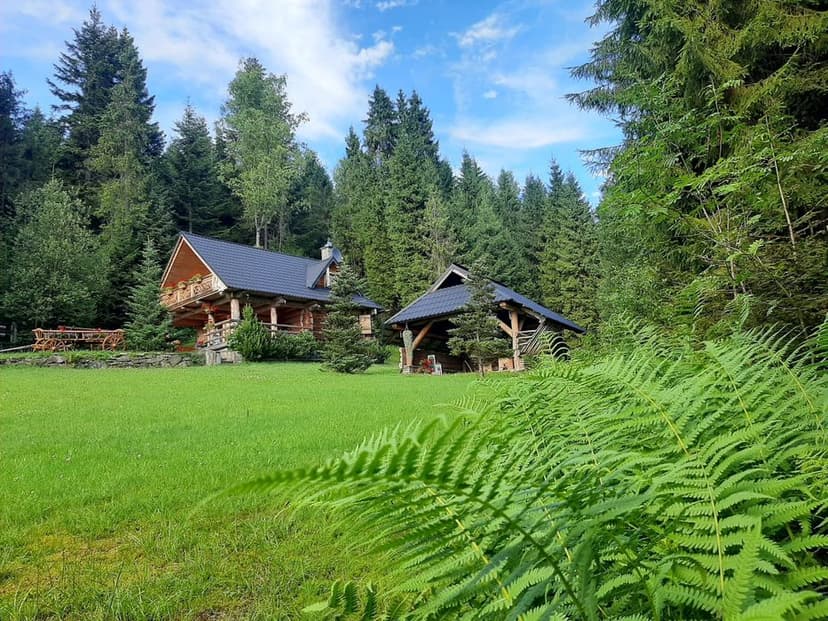 Domek w górach leśna bacówka, gorąca balia, ruska bania, domek w lesie