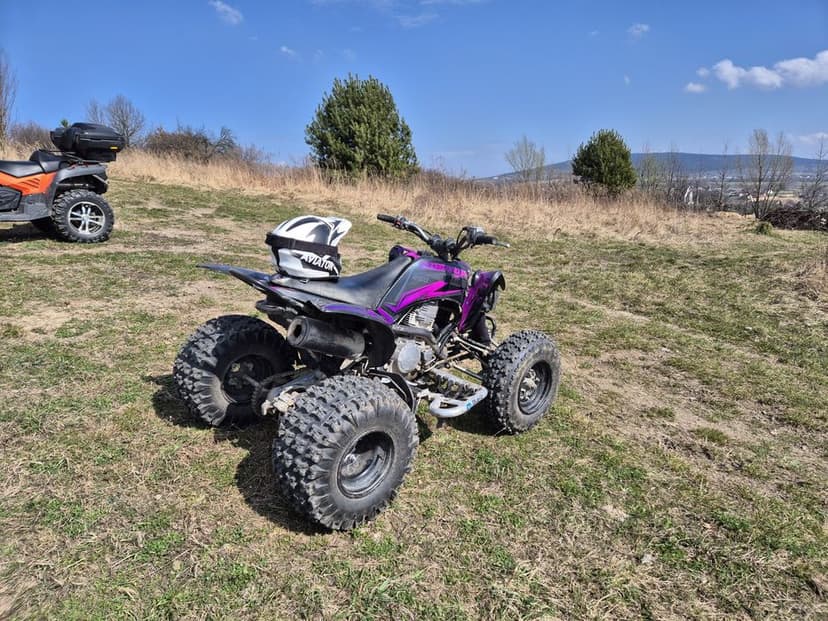 2008 Yamaha Raptor YFM 250