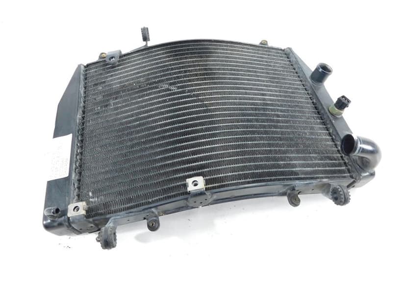 CHŁODNICA WODY MV AGUSTA 750 F4 BRUTALE 01-06 U-11 800099243