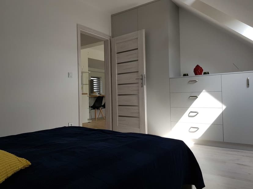 Mieszkania do wynajęcia /Apartments for rent