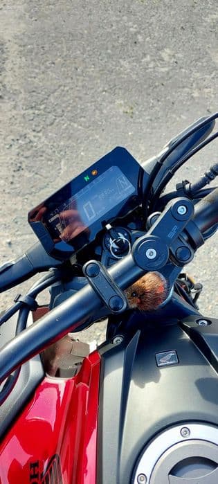 Sprzedam Honda Cb125r 2024