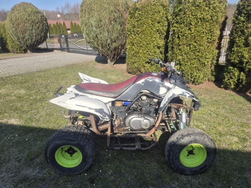 Pseudo Yamaha Raptor swap GS500 (Bashan)