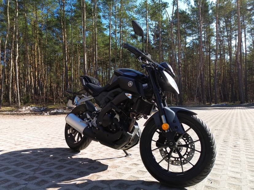 Yamaha MT 125 Zadbany