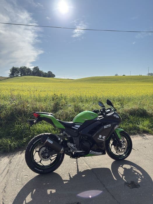 Kawasaki ninja 300/125