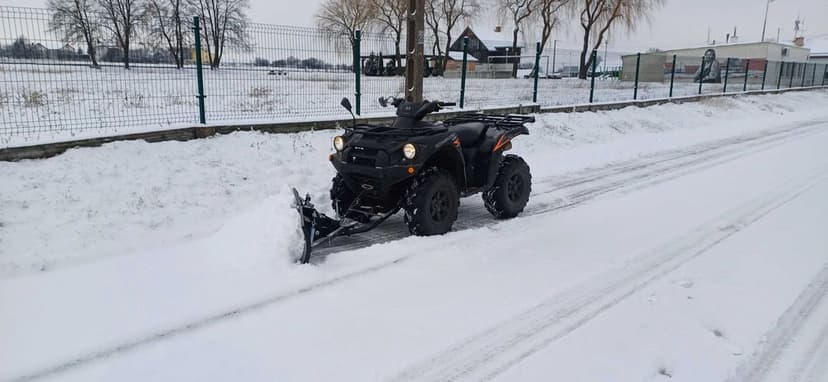 Kawasaki brute force 750