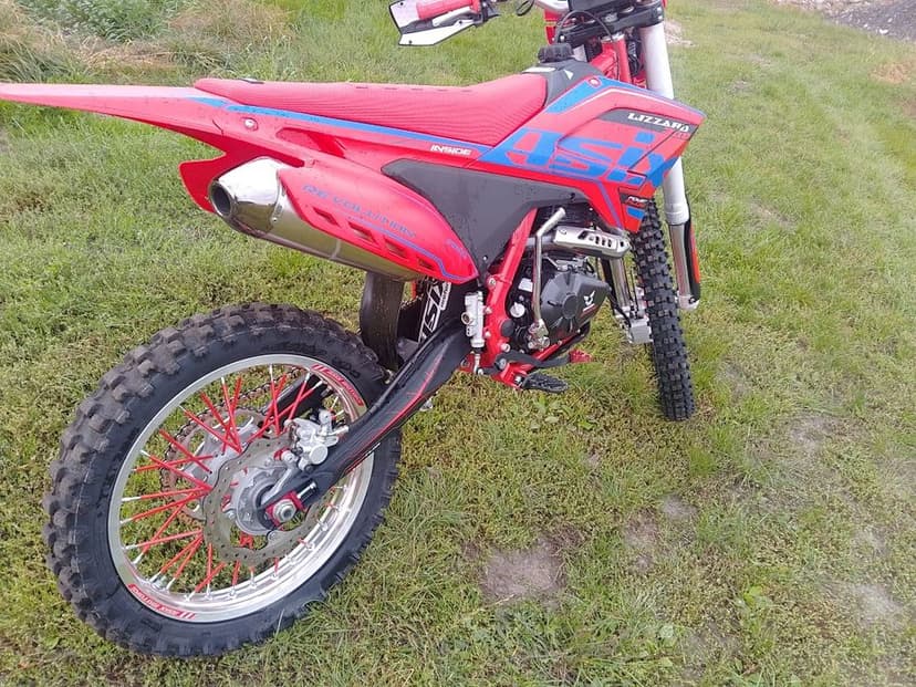 Asix Lizzard 300 cross