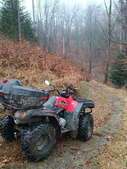 Yamaha grizzly YFM 600 4x4 pług, nowe opony!