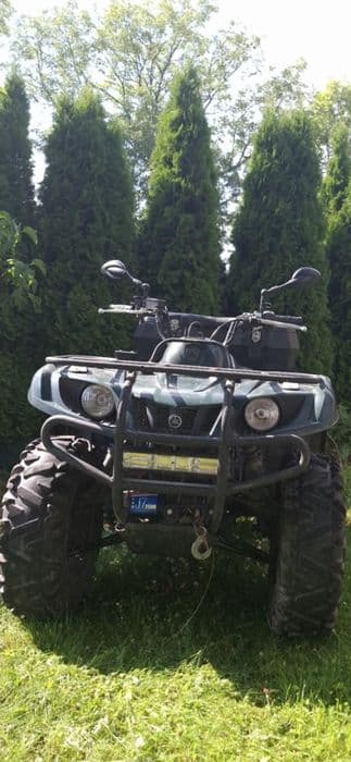 Quad Yamaha Briun